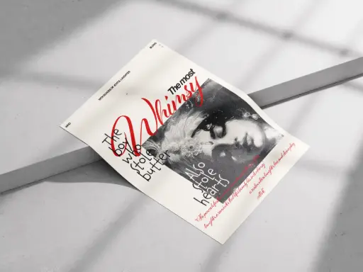 Whimsy: The Boy Who Stole Butter & Hearts